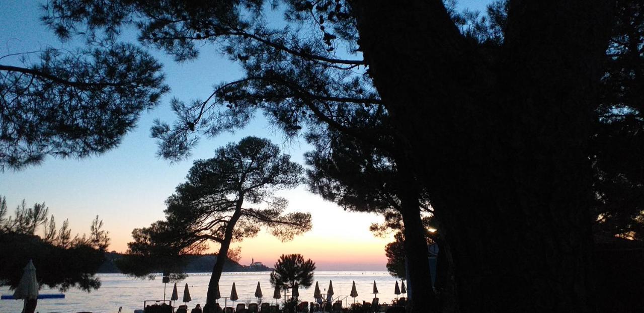 Forrest Apartment Portorož Exteriör bild